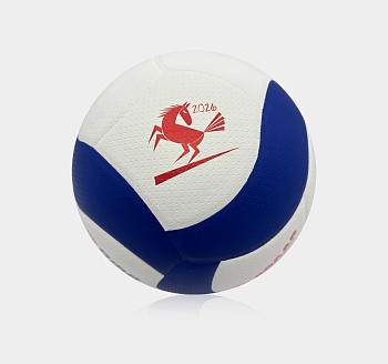 Мяч для классического волейбола Волар VL-100 «Год лошади»